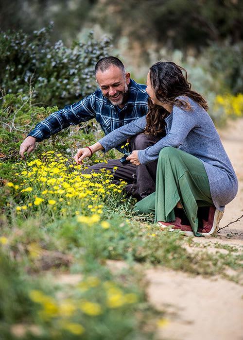 חקלאות אורגנית במדבר 3 זריעה, גידול, קטיף וייבוש בחוות שירת המדבר