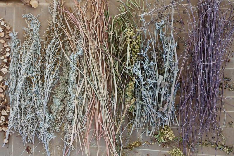 Garden Herbs For Children 1 צמחים מיובשים