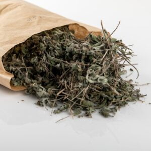 Origanum syriacum Leaves