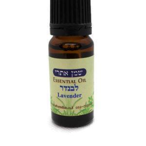 שמן אתרי לבנדר שירת המדבר