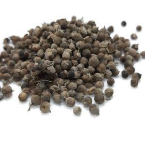 פירות שיח אברהם