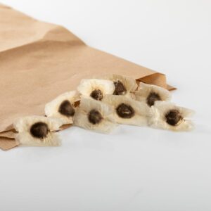 Organic Moringa Seeds