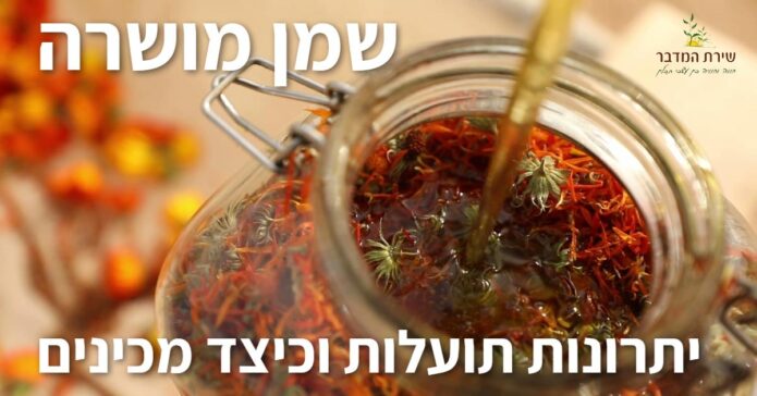 שמ מושרה- יתרונות תועלות וכיצד מכינים
