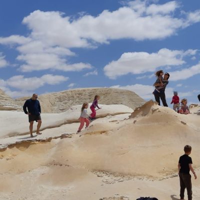 חמוקי ניצנה למשפחות חמוקי ניצנה למשפחות בפיתחת ניצנה